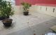 thum-9213980_YEZG4j0pDw_1759422220.jpg