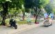 thum-9213993_ysIAh5le6H_1759450179.jpg