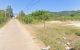thum-9214028_6AIxFMvgRw_1759461012.jpg