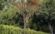 thum-9214218_Kwm7dyOL2j_1759569951.jpg