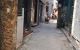 thum-9214369_1jyt87JbQc_1759727640.jpeg