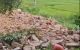 thum-9214402_wieEGj2WqN_1759741697.jpg
