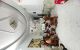 thum-m_UW5rtzZNfu_1759843161.jpg