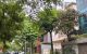 thum-9214654_n9CHwdLmSA_1759907968.jpeg