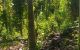 thum-9164998_rFKuaAfiQ1_1760014431.jpg