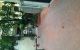 thum-9214930_C7OQcKnWHT_1760071906.jpg