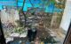 thum-9214952_ZkeEV8u3PL_1760084150.jpg