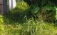 thum-9215108_k8vI5pw61J_1760241296.jpg