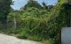 thum-9215128_c0ALkeRsld_1760253003.jpg