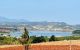 thum-m_HyiVuCt836_1760690926.jpg
