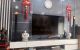 thum-9215905_dl8t1Bugji_1760772584.jpg