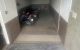 thum-9216342_XHqnGWLFdf_1761098322.jpg