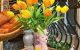 thum-9236055_mcEdItRNsX_1776918988.jpg
