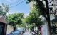 thum-m_xmFc3WdJlH_1777070158.jpg