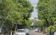 thum-9236629_fyhUwxa0Sq_1777436695.jpg