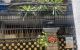 thum-m_eW4wE1ny29_1777517544.jpg