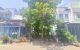thum-m_TzQvhGOj79_1777953009.jpg