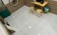 thum-9237541_XTamWhE0GA_1778407481.jpg