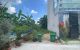 thum-m_LM5uvTs03x_1778486177.jpg