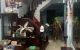 thum-9237696_Y4lVBaDSsc_1778566449.jpg