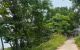 thum-9237720_RzlhvB6I7M_1778571254.jpg