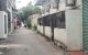 thum-9237729_4MZTuxOiy5_1778573382.jpg