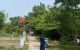 thum-m_67jZncN290_1778571247.jpg