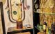 thum-9237795_zt2RBrg4sQ_1778640656.jpg