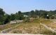 thum-m_wAfBIQJSdl_1778745110.jpg