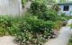 thum-9238058_jtu7JdVyMm_1778859928.jpg