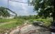 thum-9238159_i4cB9WJCSj_1778985681.jpg