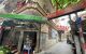 thum-m_XYuOon1SIt_1779008719.jpg