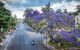 thum-9238245_5of9BxkWdv_1779072287.jpeg