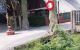 thum-9238248_kM1e5SpAQj_1779073530.jpeg
