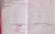 thum-9238249_FhKoG6OMb3_1779073723.jpeg