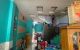 thum-9238425_Minks3gQwl_1779161280.jpg