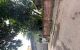 thum-m_fsFyij7AN8_1779241303.jpg