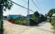 thum-m_uPkc4Vbxf6_1779241704.jpg