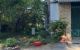 thum-9238722_nFcWPtQ6CI_1779342479.jpg