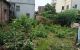 thum-m_2qD7R93HSz_1779376684.jpg