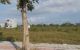 thum-m_2XIq7SjDN8_1779440389.jpg