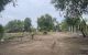 thum-m_rzNjihc5D7_1779443280.jpg