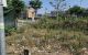 thum-m_3UMdoLYgEP_1779503618.jpg