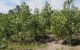 thum-9238985_tHWAub6nof_1779593089.jpg