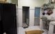 thum-9239030_2vwoWhQyZF_1779608597.jpg