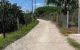 thum-9239269_1Kboe8YtmG_1779799416.jpg