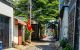 thum-9239549_3GElXAoe69_1780057271.jpg
