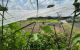 thum-m_xHKcOYMu4g_1780057607.jpg