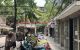 thum-9239588_iFna1L7uUM_1780109095.jpg