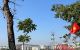 thum-9239605_uIe5LqArZM_1780113150.jpg